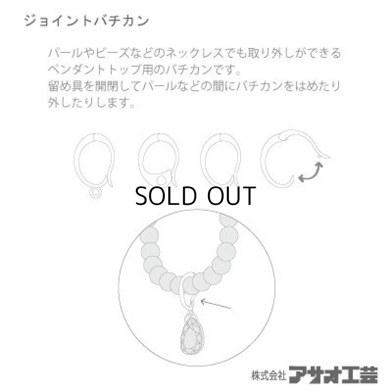 画像3: ＳＶ ジョイントバチカン Ｓ (3)