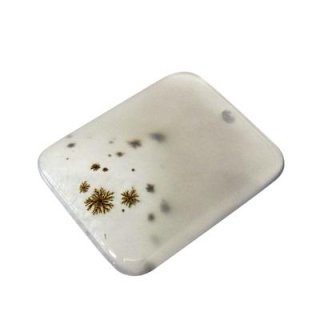 アンモナイト(A) 30-32mm - アサオ工芸オンライショップ