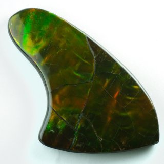 アンモライト - アサオ工芸オンライショップ