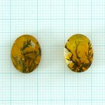 画像1: デンドリティッククォーツ オーバル 長辺14-15mm (1)