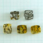 画像1: デンドリティッククォーツ クッション 長辺14-15mm (1)