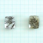 画像1: デンドリティッククォーツ クッション 長辺15-17mm (1)