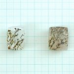 画像1: デンドリティッククォーツ クッション 長辺17-18mm (1)