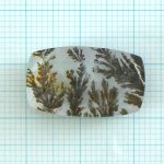 画像1: デンドリティッククォーツ クッション 12.9x21.8mm (1)