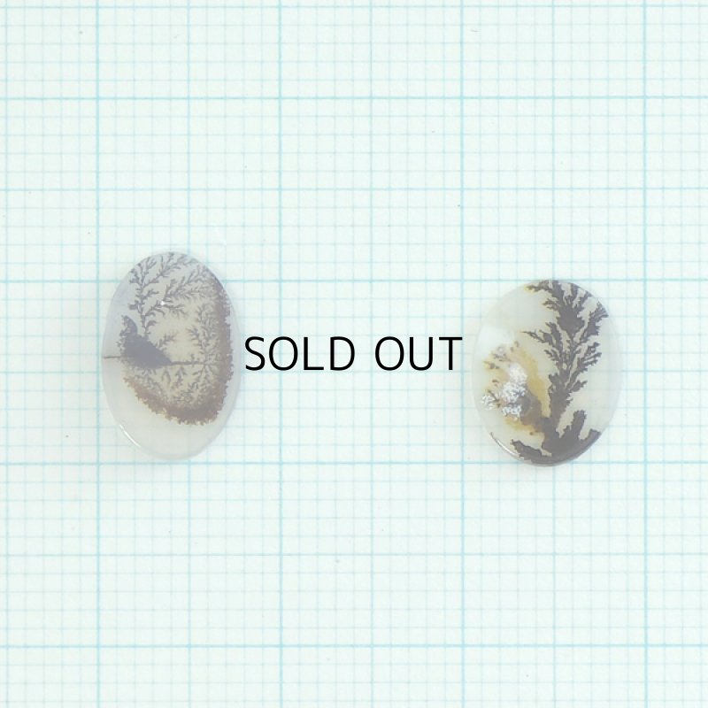 画像1: デンドリティックアゲート オーバル 長辺10-12mm (1)