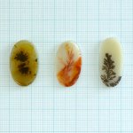 画像1: デンドリティックアゲート オーバル 長辺20-23mm (1)