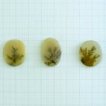 画像1: デンドリティックアゲート オーバル 長辺21-22mm (1)