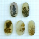 画像1: デンドリティックアゲート オーバル 長辺24-26mm (1)