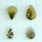 画像1: デンドリティックアゲート ペアシェイプ 長辺13-16mm (1)