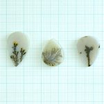 画像1: デンドリティックアゲート ペアシェイプ 長辺15-20mm (1)