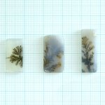 画像1: デンドリティックアゲート レクタングル 長辺17-23mm (1)