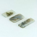 画像2: デンドリティックアゲート レクタングル 長辺17-23mm (2)