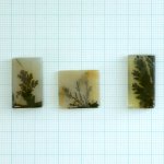 画像1: デンドリティックアゲート レクタングル 長辺17-23mm (1)