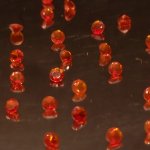 画像1: ファイアオパール ラウンドカット 2.5mm (1)