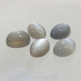 早割クーポン！ 70726f647563742f474d5331355832 その他