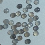 画像1: グレームーンストーン ラウンドカボ 5mm (1)