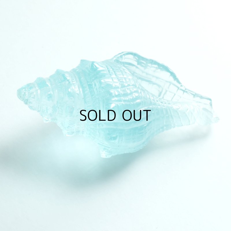 画像4: アクアマリン(アカソ) カービング(貝) 24x46mm (4)