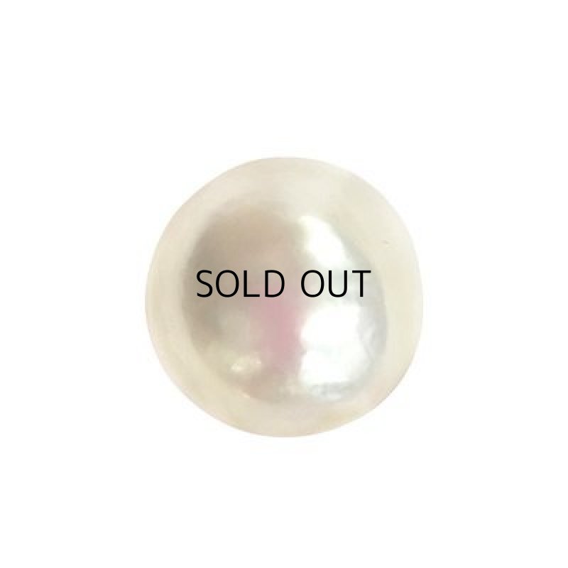 画像2: 半形パール ラウンド 15.5-16mm (2)