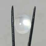 画像1: ムーンストーン オーバルカボ 11.6x13.4mm (1)