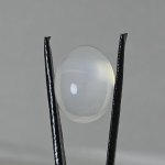 画像1: ムーンストーン オーバルカボ 13.1x16.9mm (1)