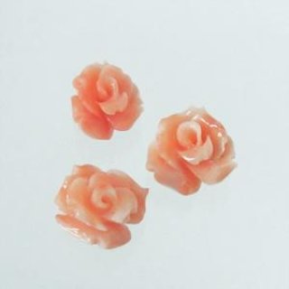 70726f647563742f50434c30303131