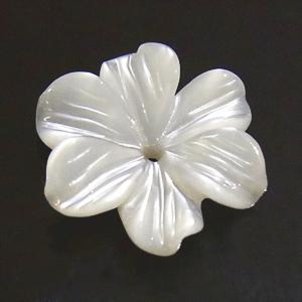 白蝶貝 カービング(花)貫通 14mm - アサオ工芸オンライショップ