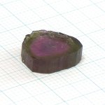 画像4: トルマリンバイカラー スライス 12x13mm (4)