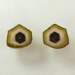 画像1: トルマリンバイカラー スライスカット 10x12mm (1)