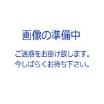 画像1: Ｐｔ９００ ピアスポスト(直結) ０．７ｘ２．５ｍｍ皿 (1)